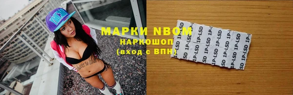 хмурый Алзамай