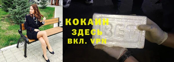 хмурый Алзамай