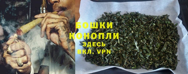 прущие крисы Пересвет