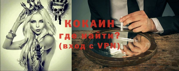 хмурый Алзамай