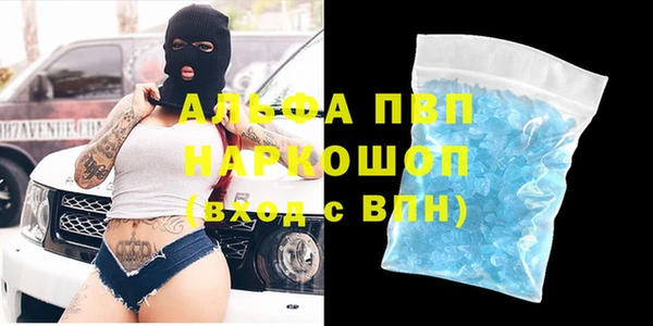 хмурый Алзамай