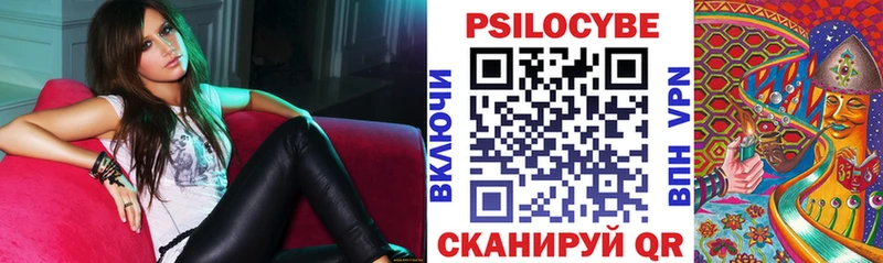 Галлюциногенные грибы мухоморы  ссылка на мегу как зайти  Камышин  купить  